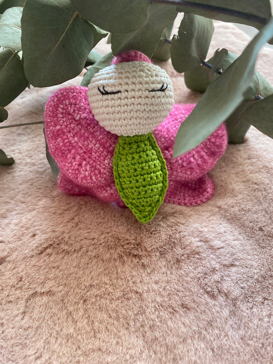 Orchifée