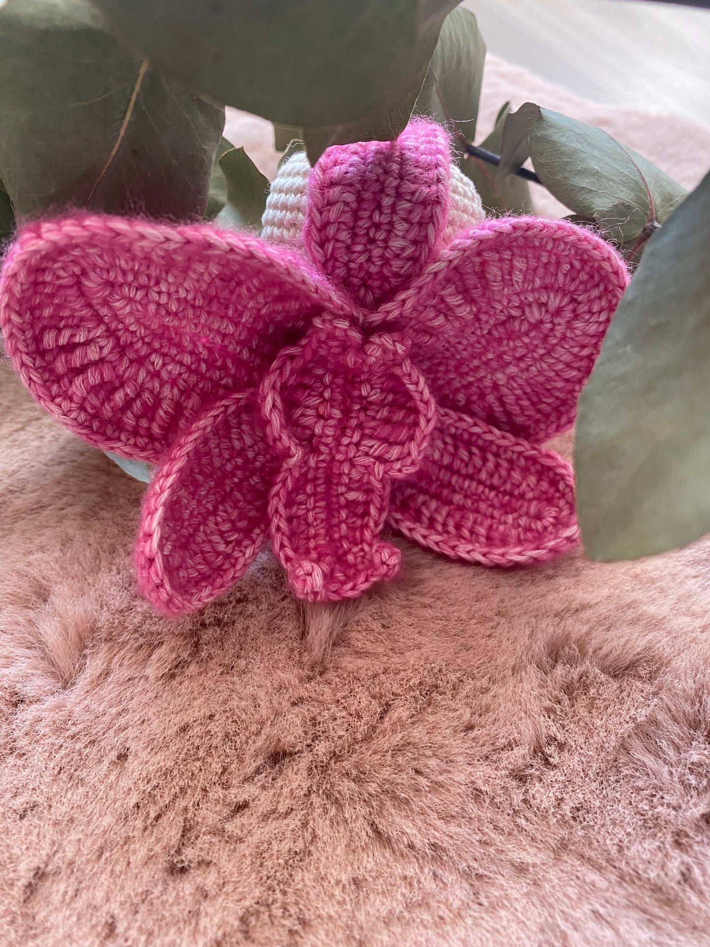 Orchifée