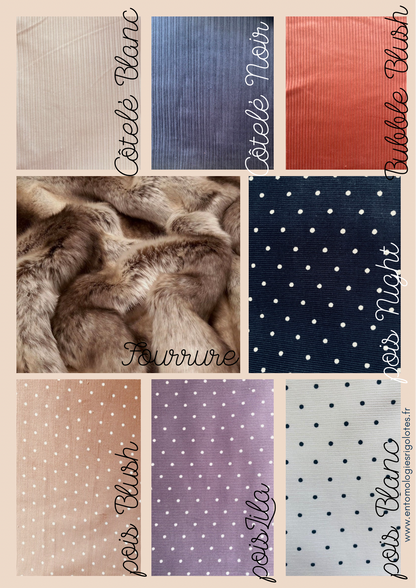 Coccinelle